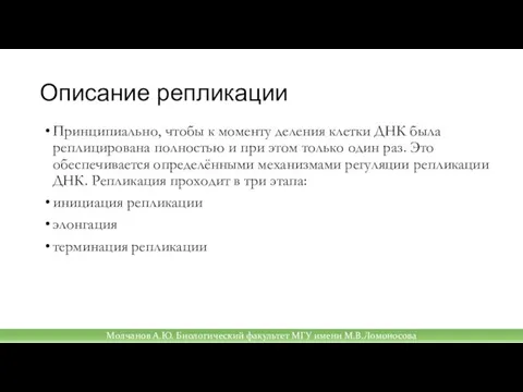 Описание репликации Принципиально, чтобы к моменту деления клетки ДНК была реплицирована полностью