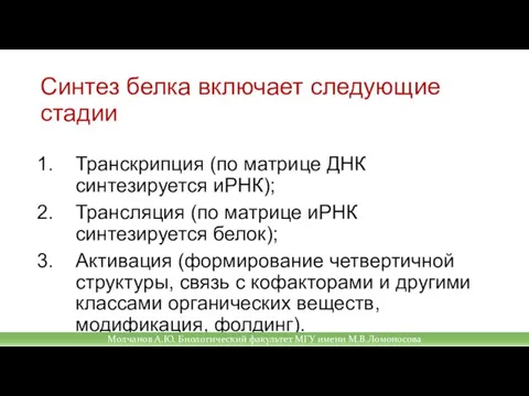 Синтез белка включает следующие стадии Транскрипция (по матрице ДНК синтезируется иРНК); Трансляция