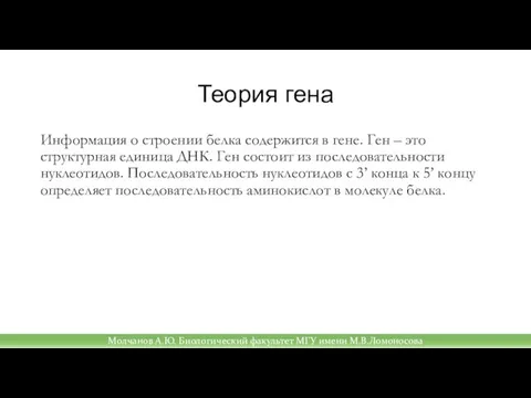 Теория гена Информация о строении белка содержится в гене. Ген – это