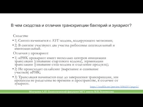 В чем сходства и отличия транскрипции бактерий и эукариот? Сходства: 1) Синтез