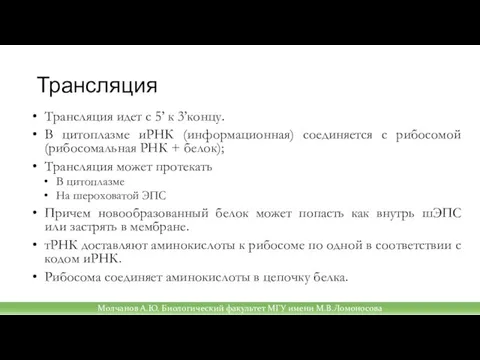 Трансляция Трансляция идет с 5’ к 3’концу. В цитоплазме иРНК (информационная) соединяется