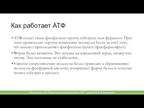 Как работает АТФ АТФ отдает свою фосфатную группу субстрату или ферменту. При