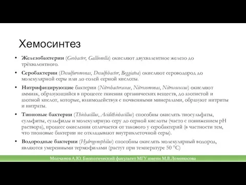 Хемосинтез Железобактерии (Geobacter, Gallionella) окисляют двухвалентное железо до трёхвалентного. Серобактерии (Desulfuromonas, Desulfobacter,