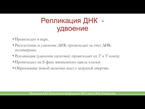 Репликация ДНК - удвоение Происходит в ядре. Расплетение и удвоение ДНК происходит