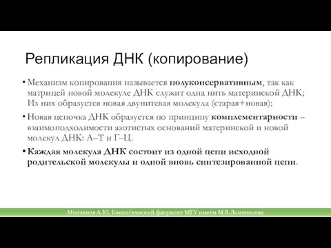 Репликация ДНК (копирование) Механизм копирования называется полуконсервативным, так как матрицей новой молекуле