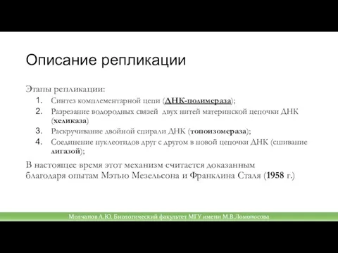 Описание репликации Этапы репликации: Синтез комплементарной цепи (ДНК-полимераза); Разрезание водородных связей двух