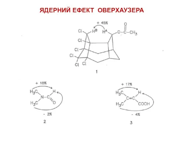 ЯДЕРНИЙ ЕФЕКТ ОВЕРХАУЗЕРА