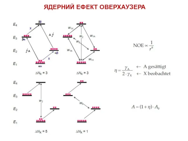 ЯДЕРНИЙ ЕФЕКТ ОВЕРХАУЗЕРА