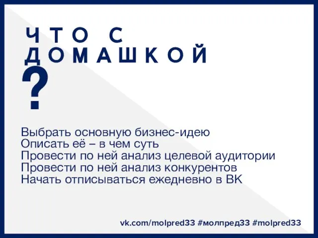 ЧТО С ДОМАШКОЙ ? Выбрать основную бизнес-идею Описать её – в чем