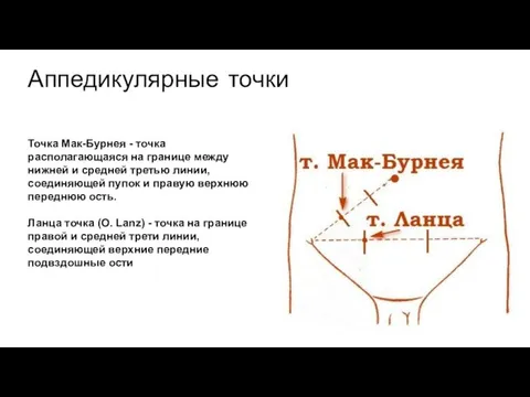 Точка Мак-Бурнея - точка располагающаяся на границе между нижней и средней третью