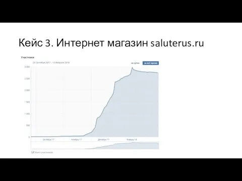 Кейс 3. Интернет магазин saluterus.ru