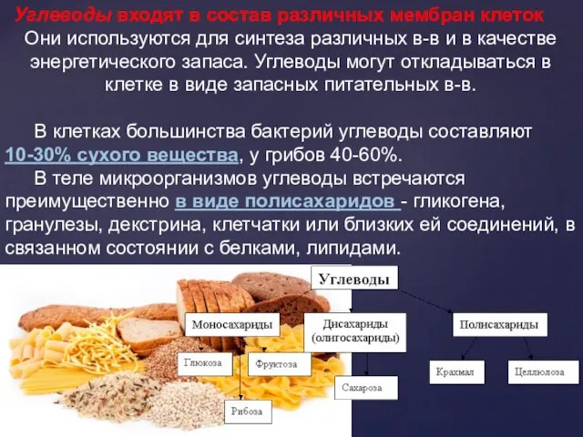 Углеводы входят в состав различных мембран клеток Они используются для синтеза различных