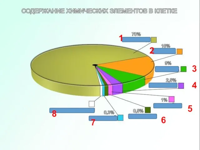 Назовите типы скоплений бактерий: 4 3 2 1 6 5 8 7