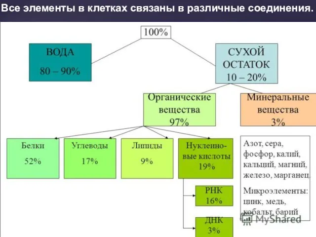 Все элементы в клетках связаны в различные соединения.