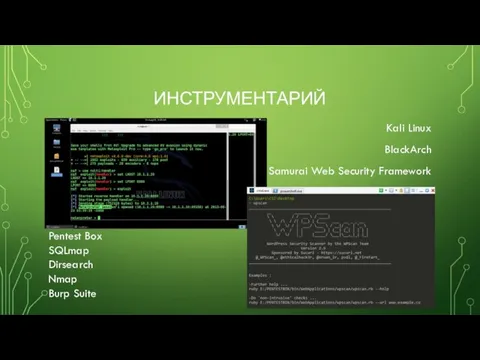ИНСТРУМЕНТАРИЙ Kali Linux BlackArch Samurai Web Security Framework Pentest Box SQLmap Dirsearch Nmap Burp Suite