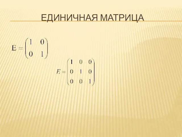 ЕДИНИЧНАЯ МАТРИЦА