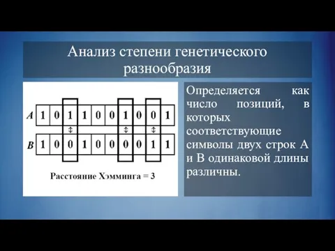 Анализ степени генетического разнообразия Определяется как число позиций, в которых соответствующие символы