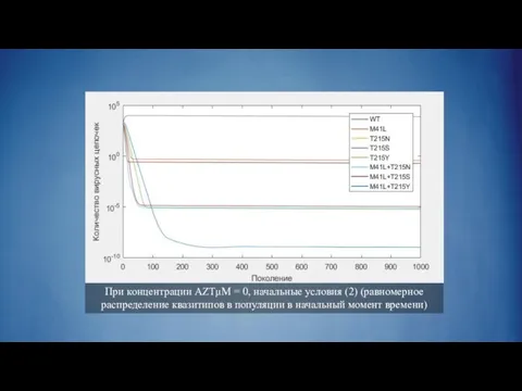 При концентрации AZTμM = 0, начальные условия (2) (равномерное распределение квазитипов в