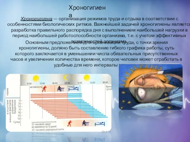 Хроногигиена Хроногигиена — организация режимов труда и отдыха в соответствии с особенностями