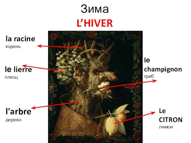 Зима L’HIVER Le CITRON лимон l'arbre дерево la racine корень lе lierre плющ lе champignon гриб