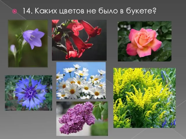 14. Каких цветов не было в букете?