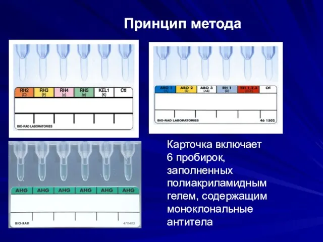 Карточка включает 6 пробирок, заполненных полиакриламидным гелем, содержащим моноклональные антитела Принцип метода