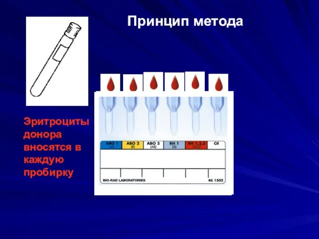 Эритроциты донора вносятся в каждую пробирку Принцип метода