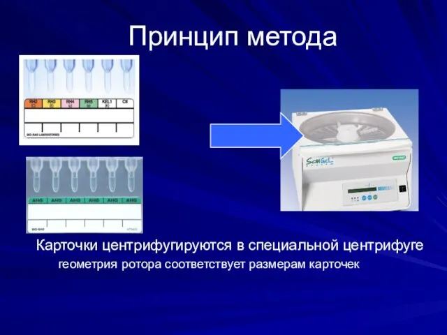 Принцип метода Карточки центрифугируются в специальной центрифуге геометрия ротора соответствует размерам карточек