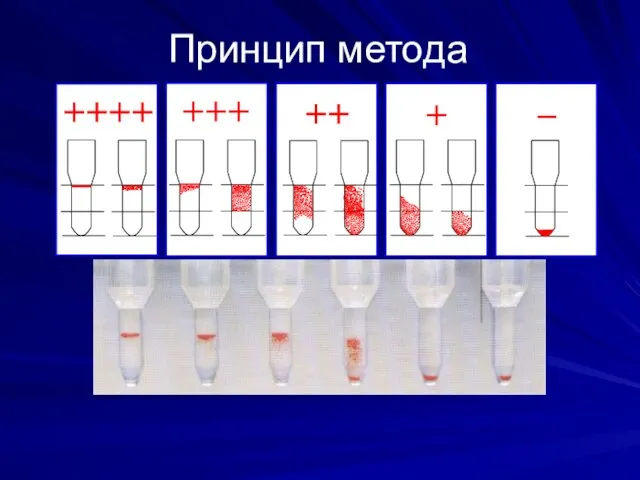 Принцип метода