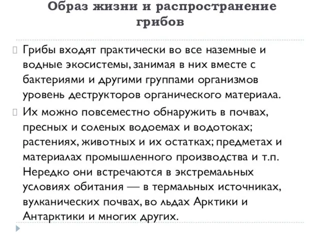 Образ жизни и распространение грибов Грибы входят практически во все наземные и