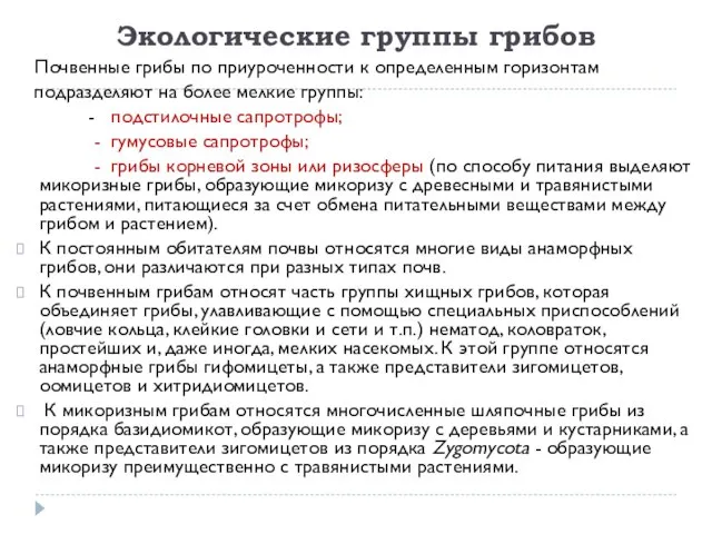 Экологические группы грибов Почвенные грибы по приуроченности к определенным горизонтам подразделяют на