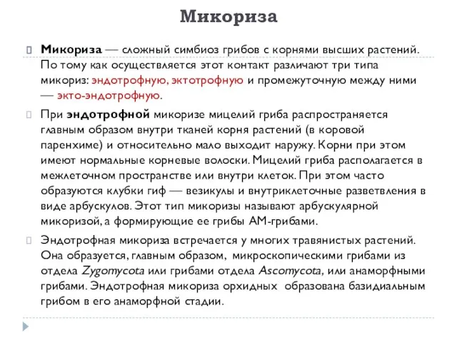 Микориза Микориза — сложный симбиоз грибов с корнями высших растений. По тому