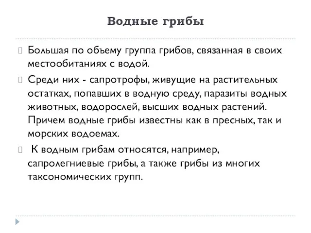 Водные грибы Большая по объему группа грибов, связанная в своих местообитаниях с