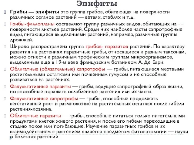 Эпифиты Грибы — эпифиты это группа грибов, обитающая на поверхности различных органов