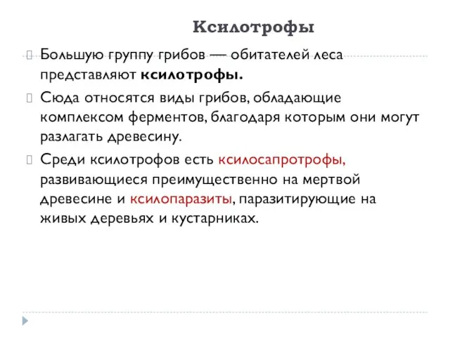 Ксилотрофы Большую группу грибов — обитателей леса представляют ксилотрофы. Сюда относятся виды