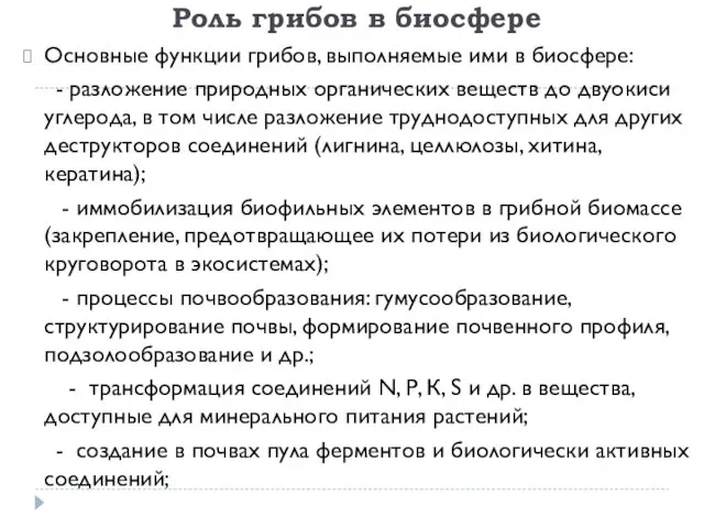 Роль грибов в биосфере Основные функции грибов, выполняемые ими в биосфере: -