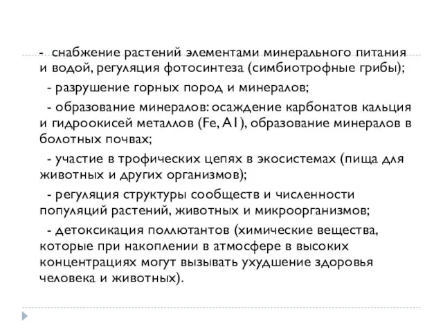 - снабжение растений элементами минерального питания и водой, регуляция фотосинтеза (симбиотрофные грибы);