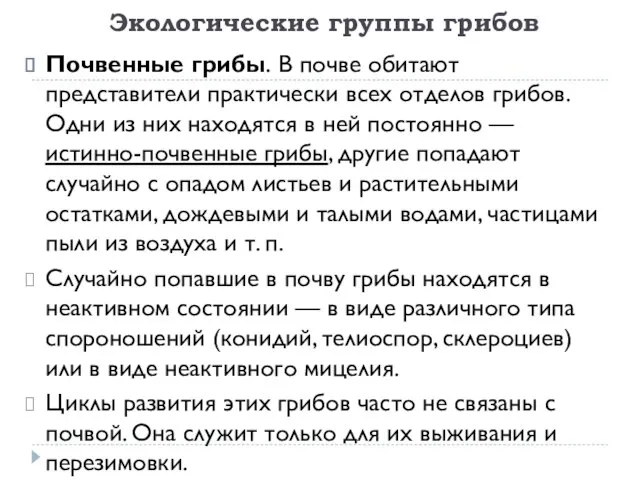 Экологические группы грибов Почвенные грибы. В почве обитают представители практически всех отделов