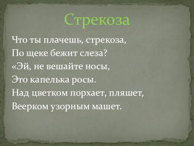 Что ты плачешь, стрекоза, По щеке бежит слеза? «Эй, не вешайте носы,