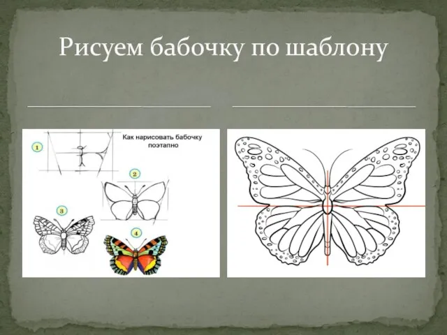 Рисуем бабочку по шаблону