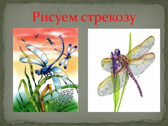 Рисуем стрекозу