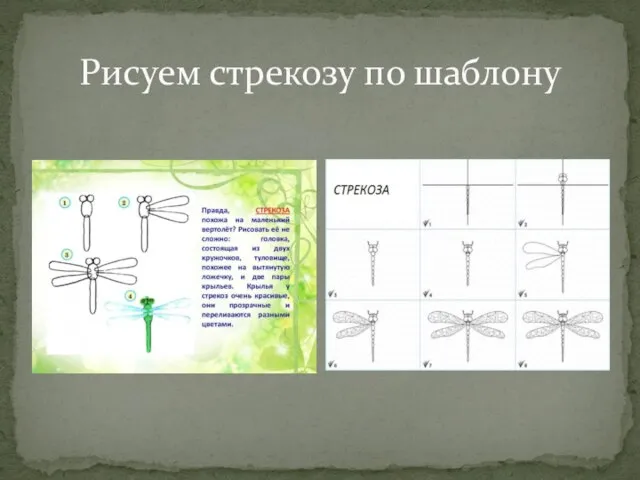 Рисуем стрекозу по шаблону