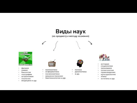 Виды наук (по предмету и методу познания)