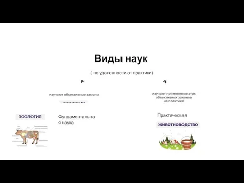 Виды наук ( по удаленности от практики) Фундаментальная наука Практическая наука