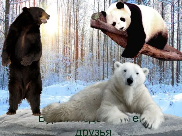 Бурый медведь и его друзья