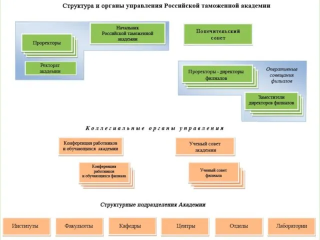 3. Цели и задачи создания Российской таможенной академии. Структура и органы управления