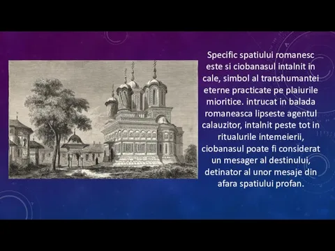 Specific spatiului romanesc este si ciobanasul intalnit in cale, simbol al transhumantei