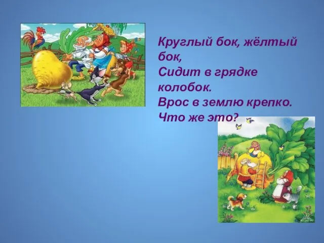 Круглый бок, жёлтый бок, Сидит в грядке колобок. Врос в землю крепко. Что же это?