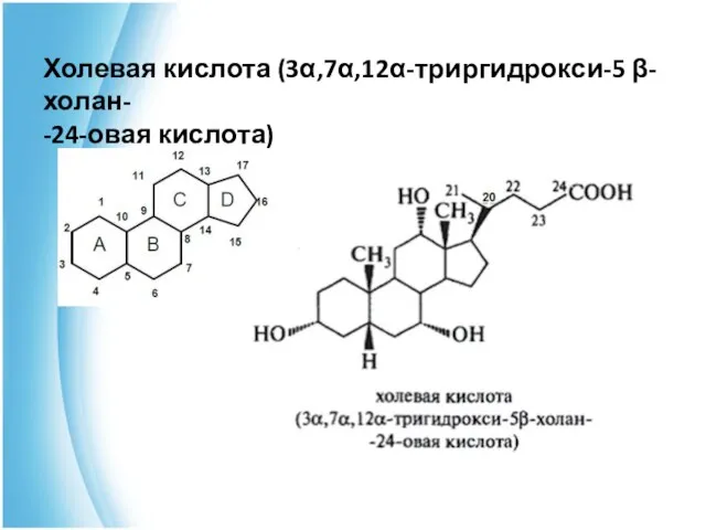 Холевая кислота (3α,7α,12α-триргидрокси-5 β-холан- -24-овая кислота)