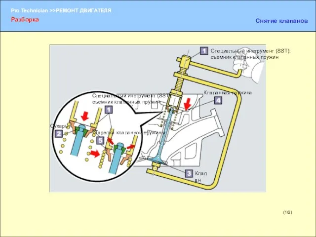 (1/2) Разборка Снятие клапанов Специальный инструмент (SST): съемник клапанных пружин Сухарь Клапан